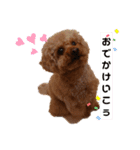 ボーちゃんだよ（個別スタンプ：4）