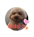 ボーちゃんだよ（個別スタンプ：5）