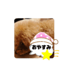 ボーちゃんだよ（個別スタンプ：6）