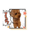 ボーちゃんだよ（個別スタンプ：9）