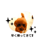 ボーちゃんだよ（個別スタンプ：12）