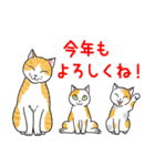 ねこちゃんいっぱい6 年末年始の（個別スタンプ：7）