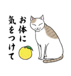 ねこちゃんいっぱい6 年末年始の（個別スタンプ：23）