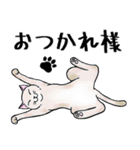 ねこちゃんいっぱい6 年末年始の（個別スタンプ：25）