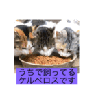 日常+神話シリーズ（個別スタンプ：3）