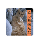 日常+神話シリーズ（個別スタンプ：8）