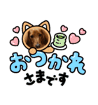 毎日こむぎさん（個別スタンプ：12）