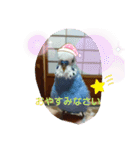 LOVE Bird cute（個別スタンプ：9）