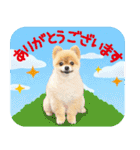 ポメラニアン もふた 5（個別スタンプ：7）