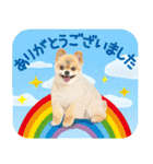 ポメラニアン もふた 5（個別スタンプ：8）