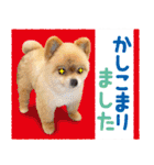 ポメラニアン もふた 5（個別スタンプ：9）