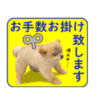 ポメラニアン もふた 5（個別スタンプ：14）