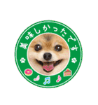 ポメラニアン もふた 5（個別スタンプ：19）
