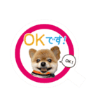 ポメラニアン もふた 5（個別スタンプ：23）