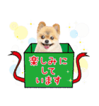 ポメラニアン もふた 5（個別スタンプ：25）