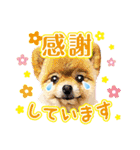 ポメラニアン もふた 5（個別スタンプ：32）