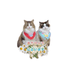 ガブオズ兄弟 パート1（個別スタンプ：4）