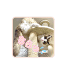 ガブオズ兄弟 パート1（個別スタンプ：17）