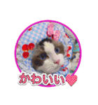 ガブオズ兄弟 パート1（個別スタンプ：19）