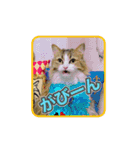 ガブオズ兄弟 パート1（個別スタンプ：20）