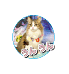 ガブオズ兄弟 パート1（個別スタンプ：25）
