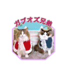 ガブオズ兄弟 パート1（個別スタンプ：32）