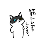 筋トレでもしてろ猫。（個別スタンプ：1）