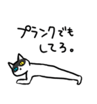 筋トレでもしてろ猫。（個別スタンプ：2）