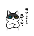 筋トレでもしてろ猫。（個別スタンプ：4）