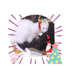 ガッシーねこーず1階ねこーずのクリスマス（個別スタンプ：2）