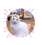 ガッシーねこーず1階ねこーずのクリスマス（個別スタンプ：4）