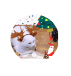 ガッシーねこーず1階ねこーずのクリスマス（個別スタンプ：6）