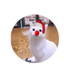 ガッシーねこーず1階ねこーずのクリスマス（個別スタンプ：8）