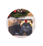 ガッシーねこーず1階ねこーずのクリスマス（個別スタンプ：9）