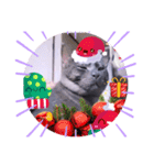 ガッシーねこーず1階ねこーずのクリスマス（個別スタンプ：10）