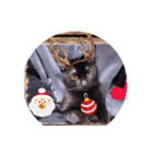 ガッシーねこーず1階ねこーずのクリスマス（個別スタンプ：11）