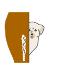 盲導犬応援スタンプ（個別スタンプ：17）