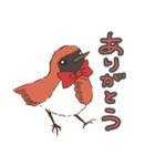 奄美の野鳥シリーズ1 アカヒゲver（個別スタンプ：4）
