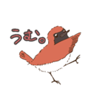 奄美の野鳥シリーズ1 アカヒゲver（個別スタンプ：7）