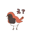 奄美の野鳥シリーズ1 アカヒゲver（個別スタンプ：8）