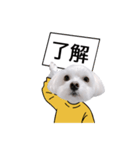 白い犬の冬と年末年始（吹き出し）（個別スタンプ：9）