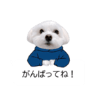 白い犬の冬と年末年始（吹き出し）（個別スタンプ：14）