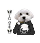 白い犬の冬と年末年始（吹き出し）（個別スタンプ：24）