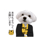 白い犬の冬と年末年始（吹き出し）（個別スタンプ：27）