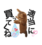 ねこの銀次くん（個別スタンプ：26）