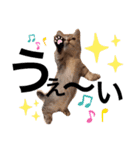 ねこの銀次くん（個別スタンプ：30）
