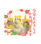 2021→笑がお〜いっぱい！2022（個別スタンプ：10）