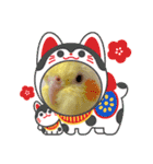 2021→笑がお〜いっぱい！2022（個別スタンプ：12）