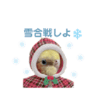 2021→笑がお〜いっぱい！2022（個別スタンプ：15）