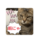 子供達の言葉集にゃ！（個別スタンプ：1）